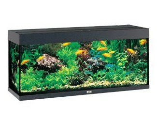 Juwel Rio 240 L Sort 121x41x55 cm